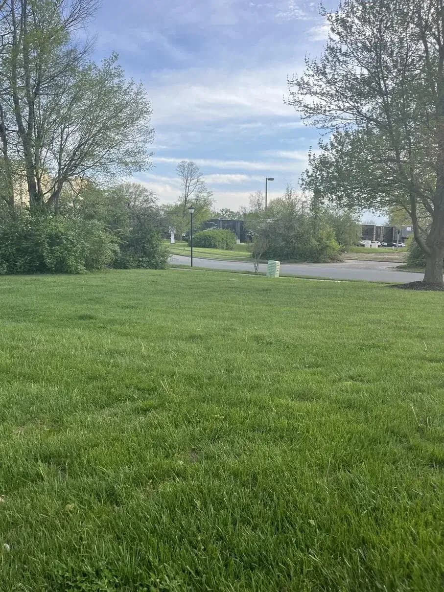 About Integrity Turf Pros and our lawn care story