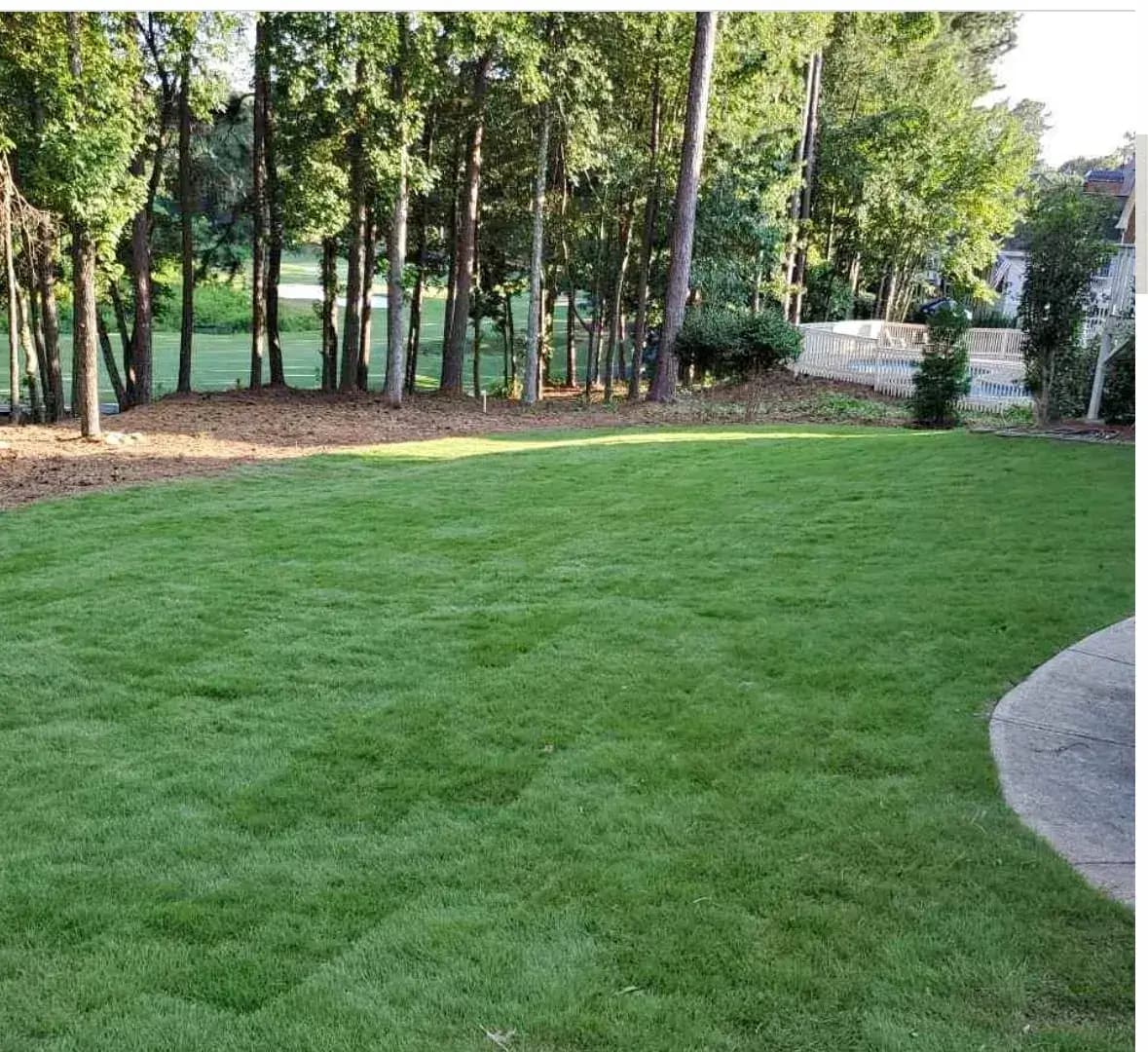Overseeding lawn care by Integrity Turf Pros — book a consultation